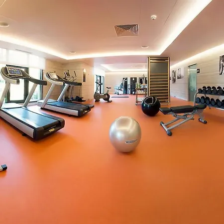 سانا ميتروبوليتان