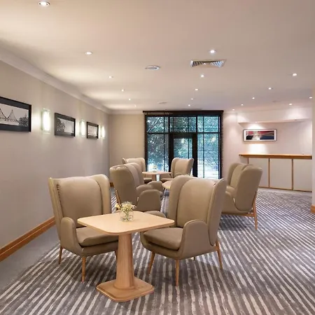 سانا ميتروبوليتان