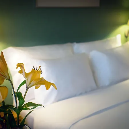 فندق سانا ميتروبوليتان