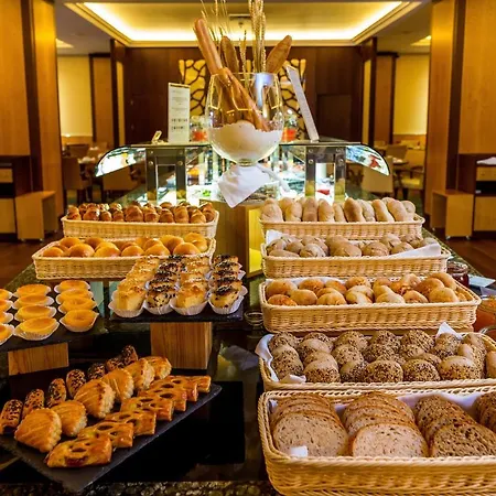 Hotel Sana Metropolitan 4*