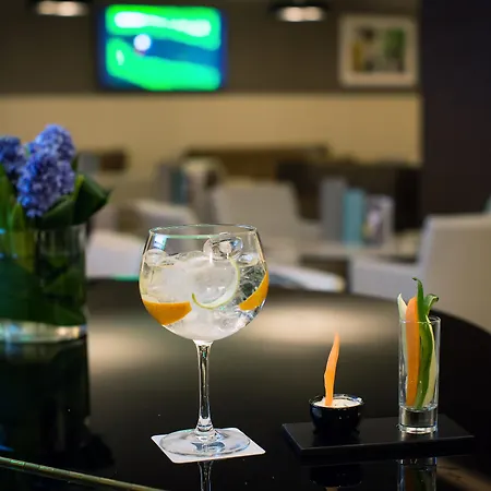 Hotel Sana Metropolitan 4*