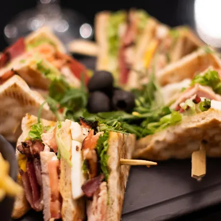 호텔 사나 메트로폴리탄